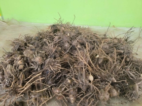 រូបលេខ៣