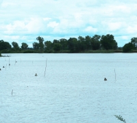 រូបលេខ៩