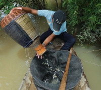 រូបលេខ១១