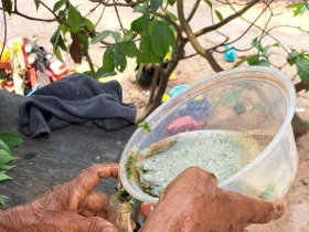 រូបលេខ៤