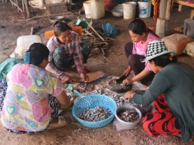 រូបលេខ១
