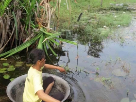 រូបលេខ២