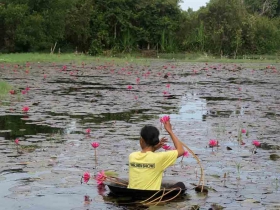 រូបលេខ៣