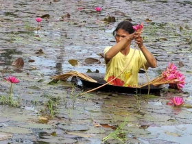 រូបលេខ៤