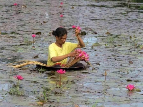 រូបលេខ៥