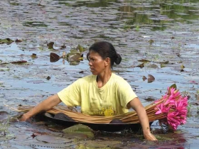 រូបលេខ៦