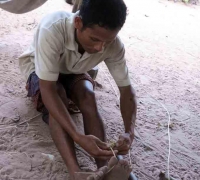 រូបលេខ២