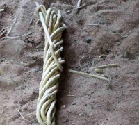 រូបលេខ៤