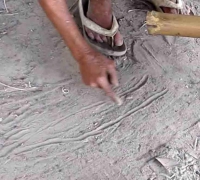 រូបលេខ៤