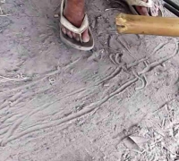 រូបលេខ៥