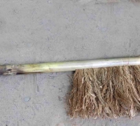 រូបលេខ៨