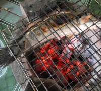 រូបលេខ១