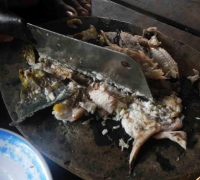 រូបលេខ២