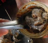 រូបលេខ៥