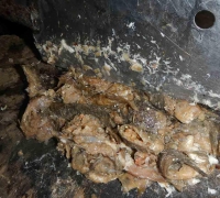 រូបលេខ៦